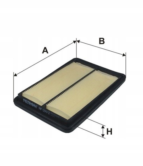 AP 124/2 - Filtr powietrza