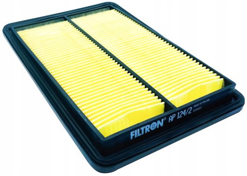 AP 124/2 - Filtr powietrza